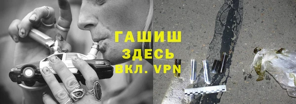 прущие грибы Вязники
