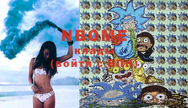 прущие грибы Вязники