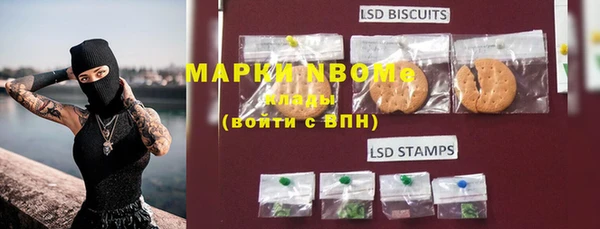 ECSTASY Вяземский