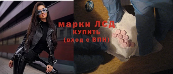 прущие грибы Вязники