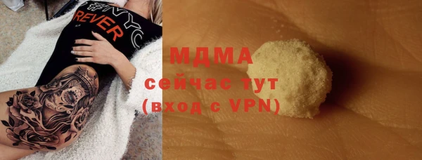 прущие грибы Вязники