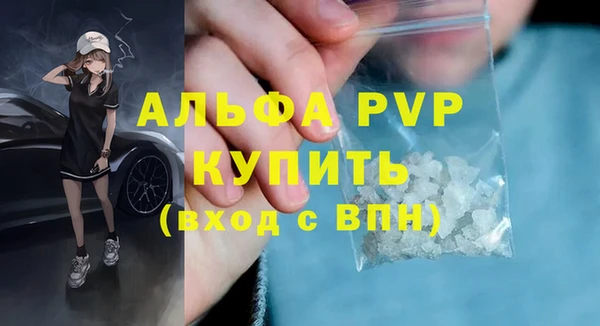 ECSTASY Вяземский