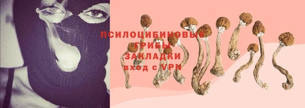 ECSTASY Вяземский