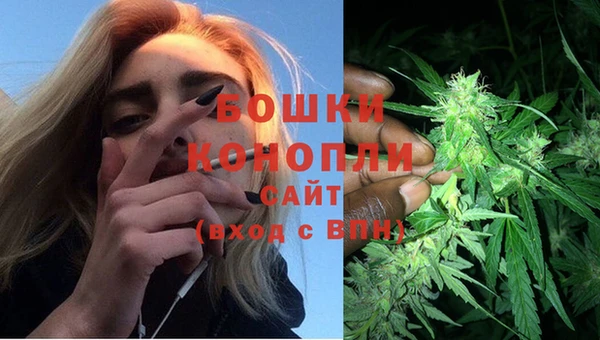 прущие грибы Вязники