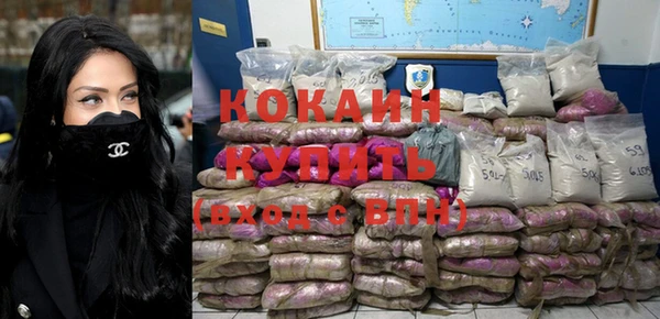 прущие грибы Вязники