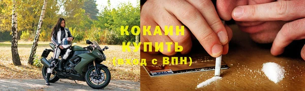 прущие грибы Вязники