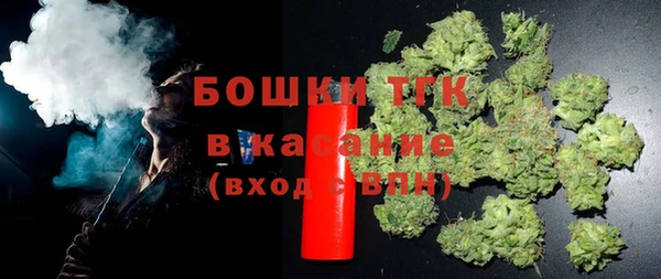 ECSTASY Вяземский