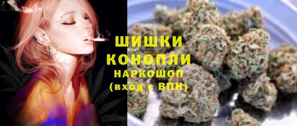 прущие грибы Вязники
