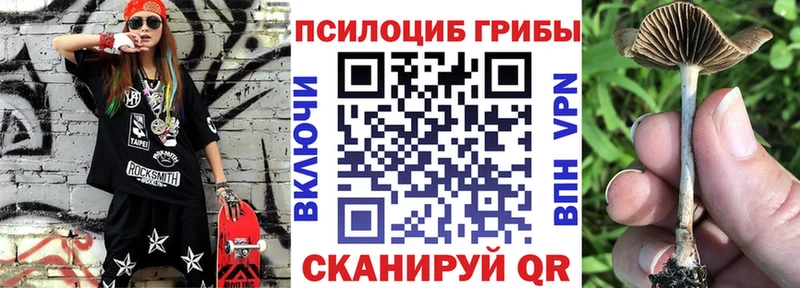Псилоцибиновые грибы Psilocybe Кузнецк