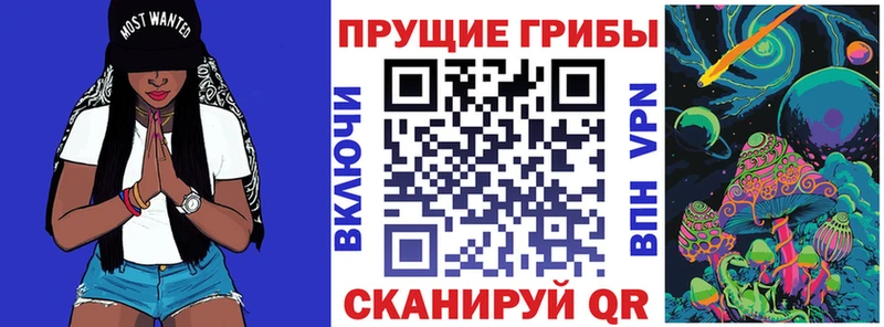 Галлюциногенные грибы мицелий  Купить где  Кузнецк 